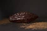 Gâteau & Pâtisserie FAIT MAISON au chocolat BIO