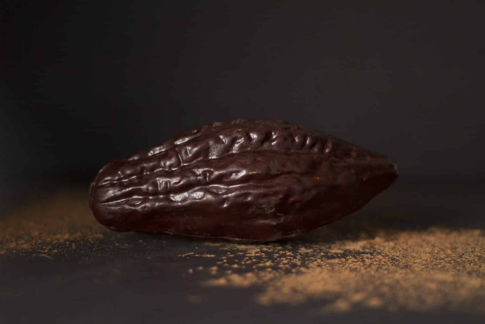 Gâteau & Pâtisserie FAIT MAISON au chocolat BIO
