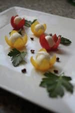 Cocktail « Végétarien » – Image 2